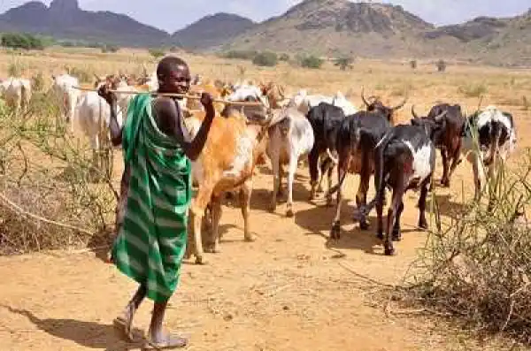 We Will Protect Niger Delta Pipelines - Fulani Group